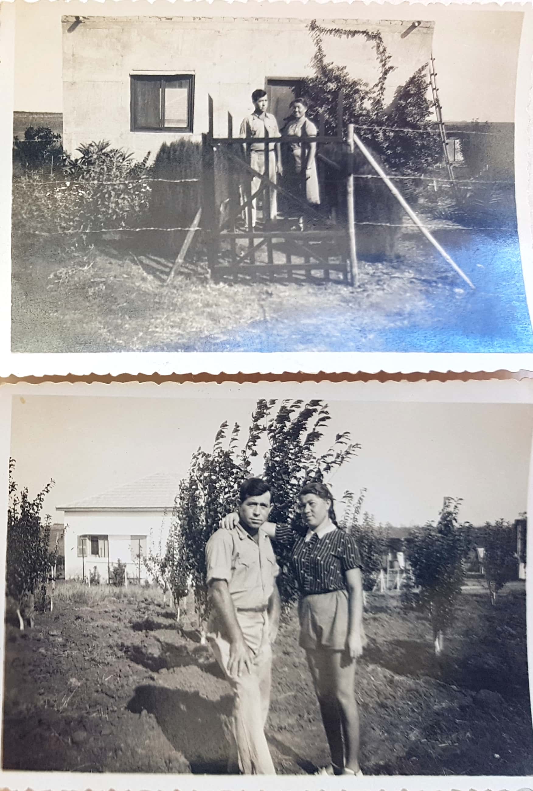 האחים הדסה ושלום גבזה