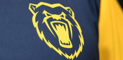 Warwickshire County Cricket Club becomes first to unveil new bamboo mix material for playing shirts