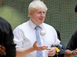 Ball is not a ‘vector of disease’, new scientific study shows