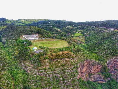 Cricket Thrives in St Helena
