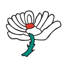 Yorkshire to appoint head of equality