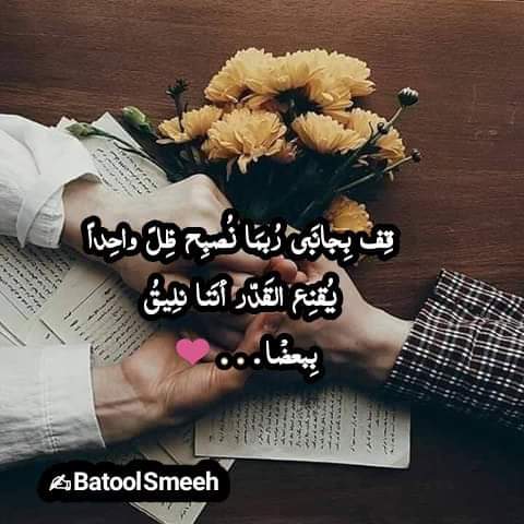 هناء  العموش / الاردن