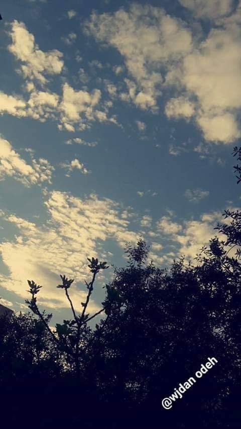 وجدان عوده / الاردن