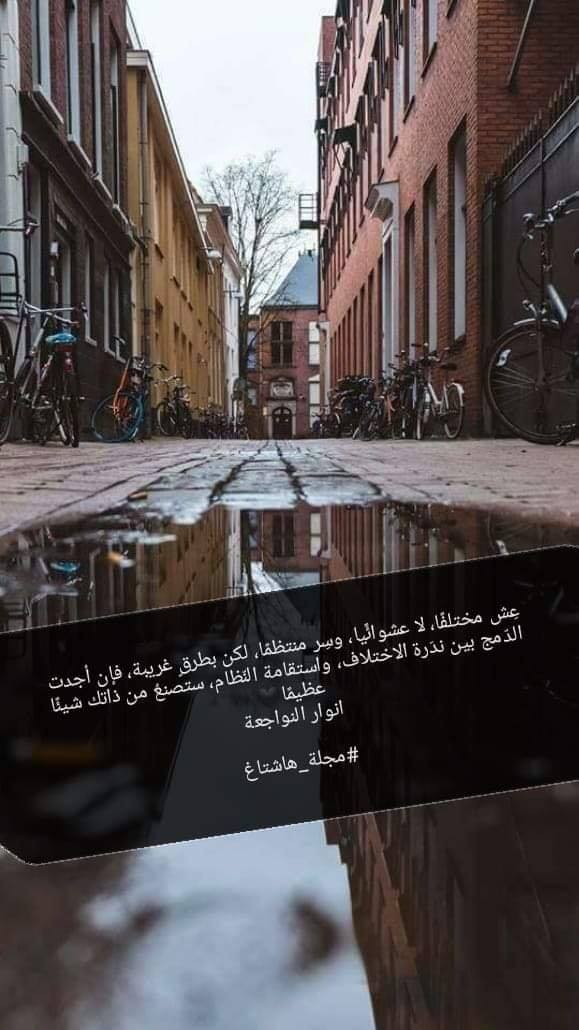 انوار النواجعة