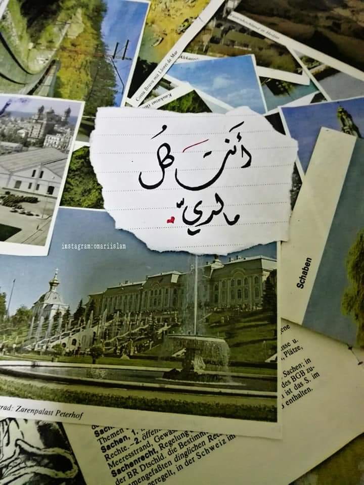 المبدعة : اسلام العمري