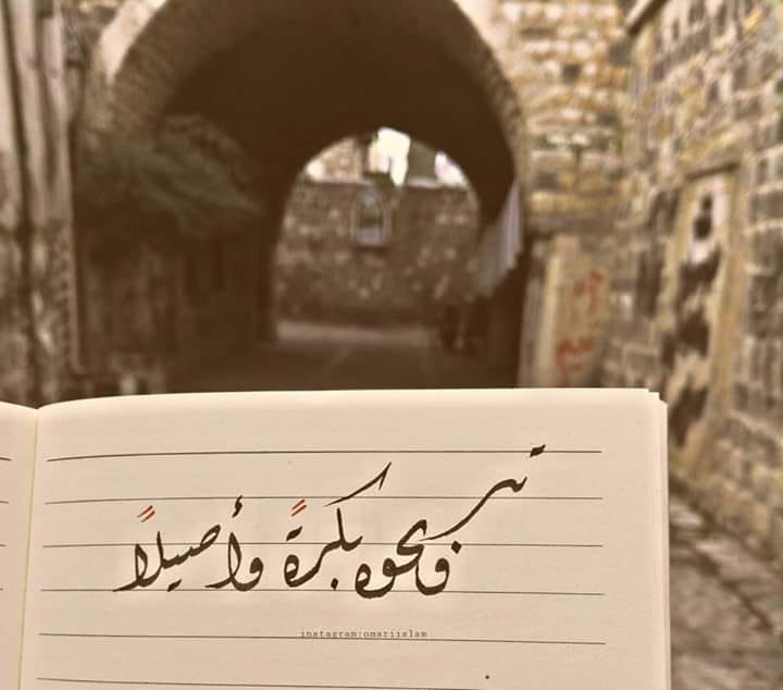 المبدعة : اسلام العمري