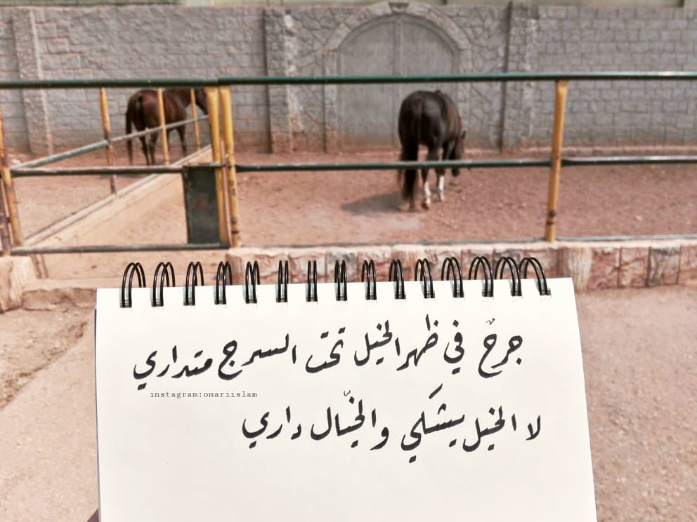 المبدعة : اسلام العمري