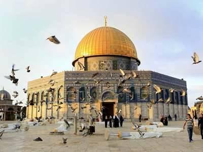 لم أر فلسطين بعد...