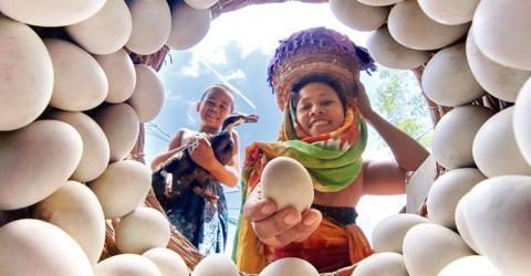 الاعلان عن مسابقة التصوير الفوتوغرافي