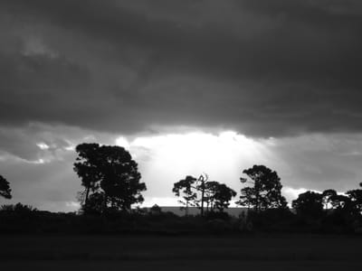 About - continued image