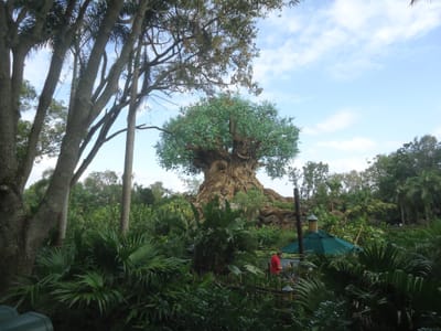 About - continued image