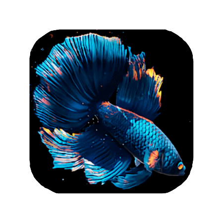Pez BETTA LWP apk 1.3.5
