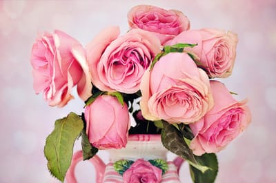 Wedding Makeup Tips To Find the Right Professional Stylist