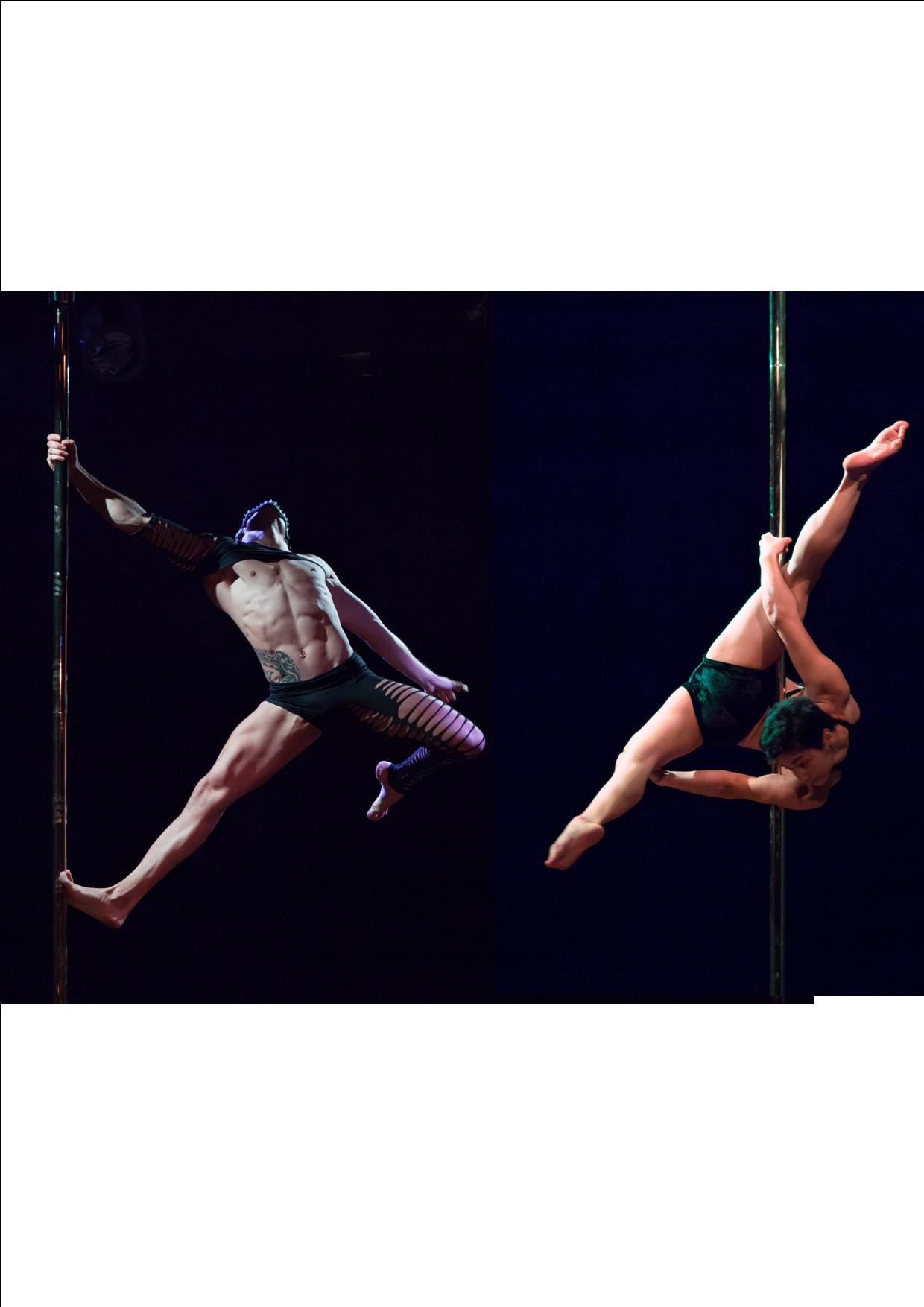 Championnat Pole Dance Nord 2019