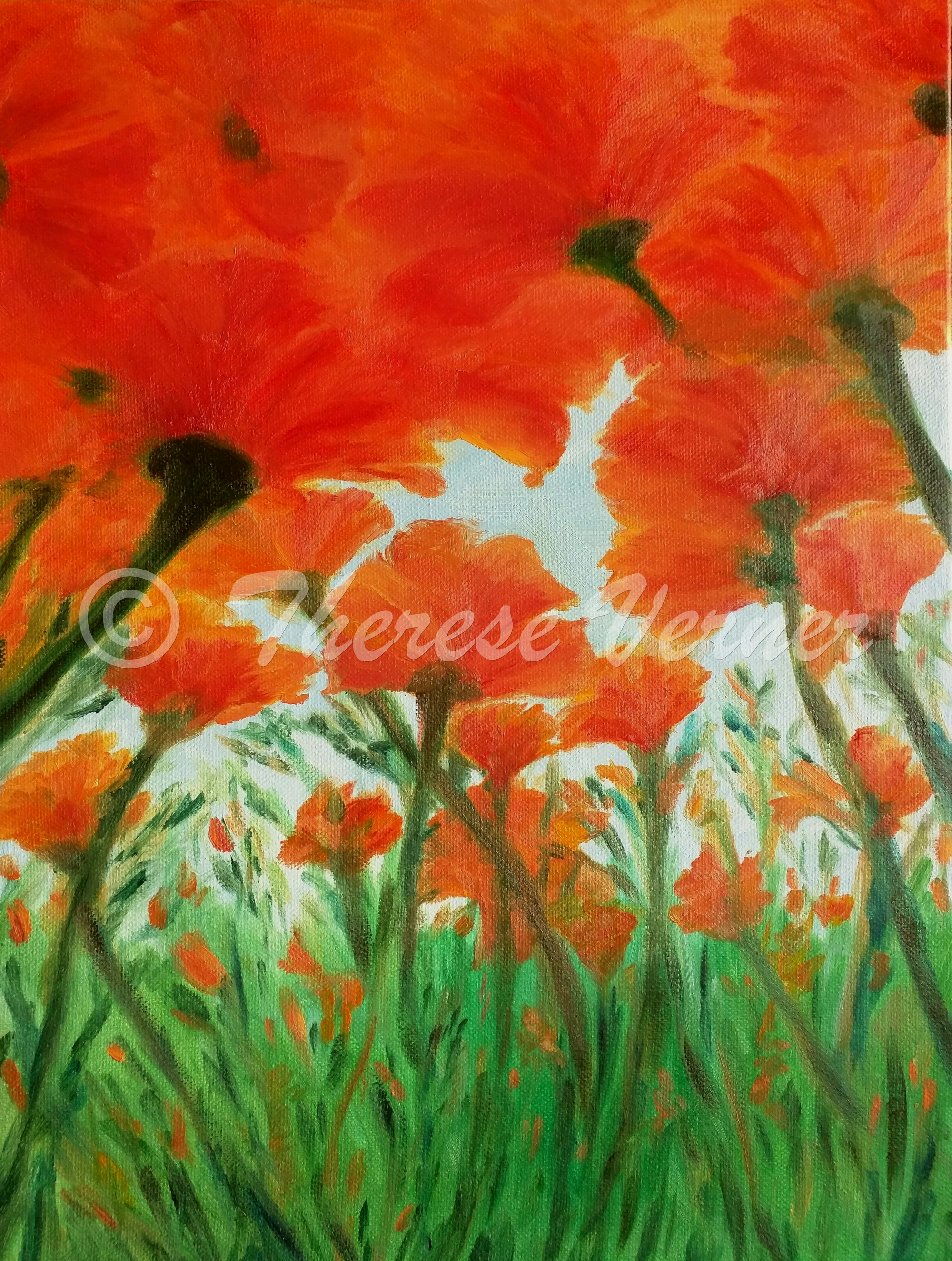 Poppies from an Ant's Viewpoint - SOLD