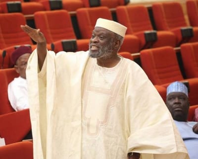 Senator Adeyeye: Why I was absent at APC senators meeting with President Buhari