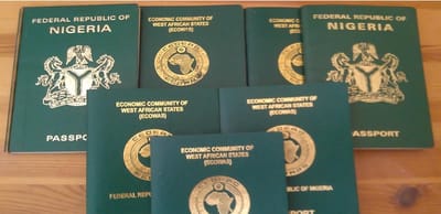FG okays 10-year validity period for passports