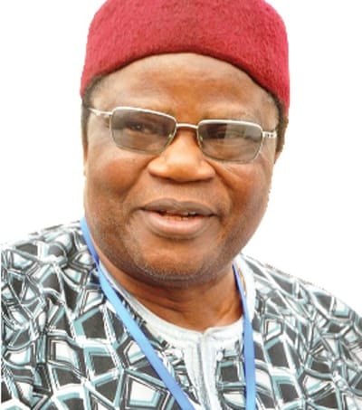 Buhari Has Done More Than What PDP Did In 16 Years – Tony Momoh