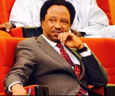 Shehu Sani loses his APC senatorial ticket to El-Rufai’s aide, Uba Sani
