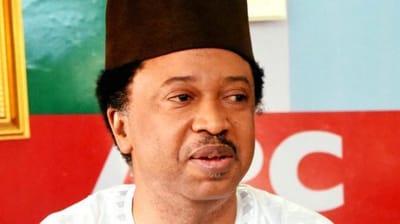 "I Will Contest In 2019" - Shehu Sani, To Announce New Party In 48 Hours