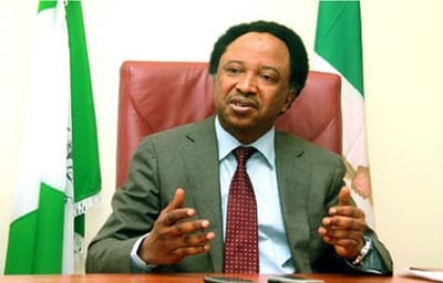 Shehu Sani Warns Ike Ekweremadu Not To Decamp To APC