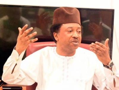 Shehu Sani To APC: If You Want To Deliver Change Then Do Not Fake A Pregnancy