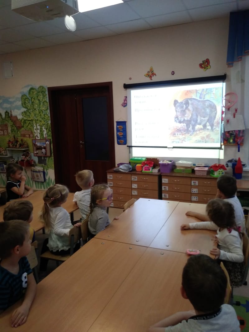 Кружковая работа "Мир вокруг нас"