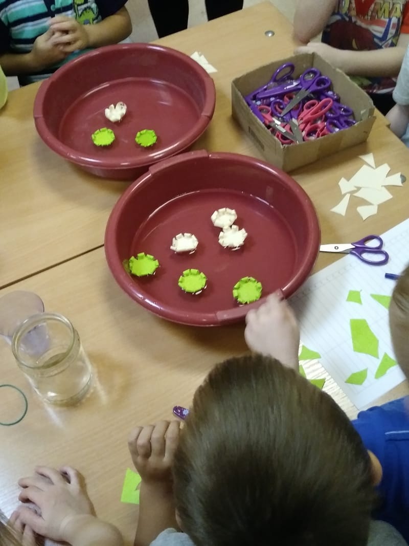 семейный клуб  «ОЧЕВИДНОЕ-НЕВЕРОЯТНОЕ»