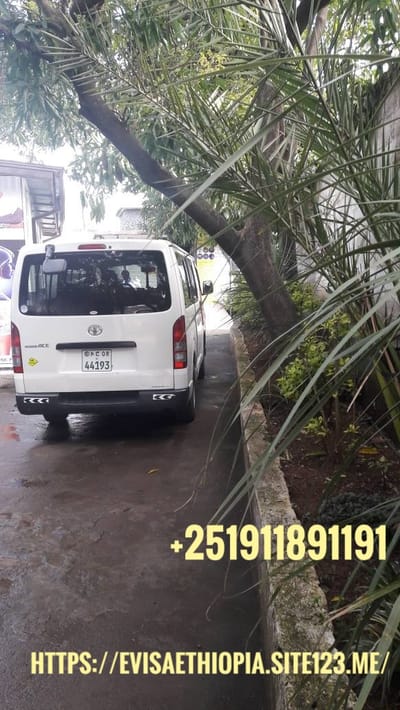 السواق مسفن السياره باص