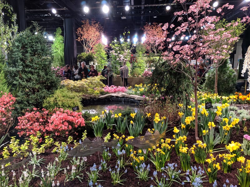 Boston Bound, Flowers Found