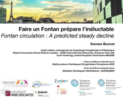 Faire un Fontan prépare l'inéluctable - Damien Bonnet 2019