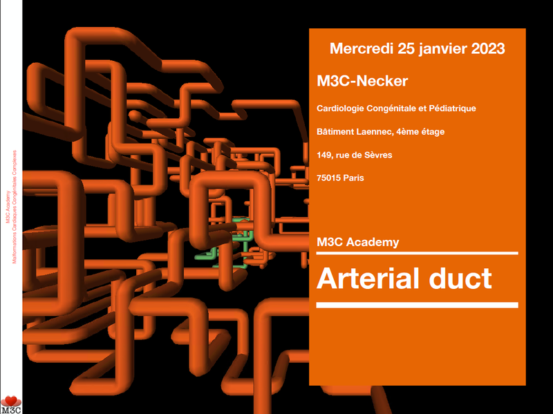 M3C Academy Canal artériel-Simple ou complexe