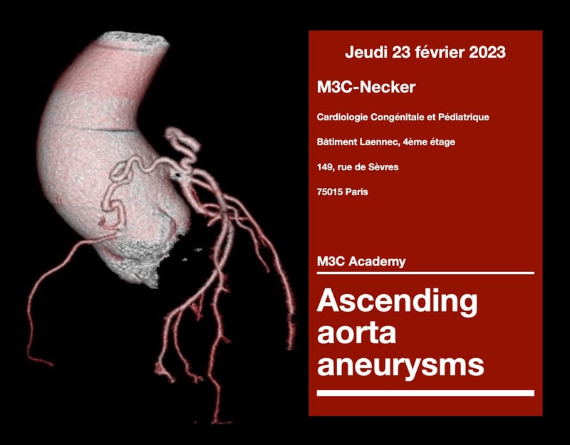 M3C Academy Aorte ascendante