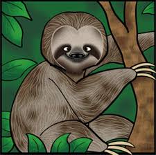 معلومات عن الكوالا  image