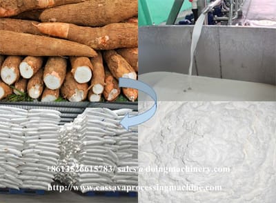Tapioca flour plant tapioca starch production process