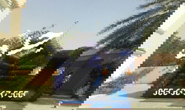 نطيطه مع زحليقة ديزني 5م*5م (السعر 600 ريال)