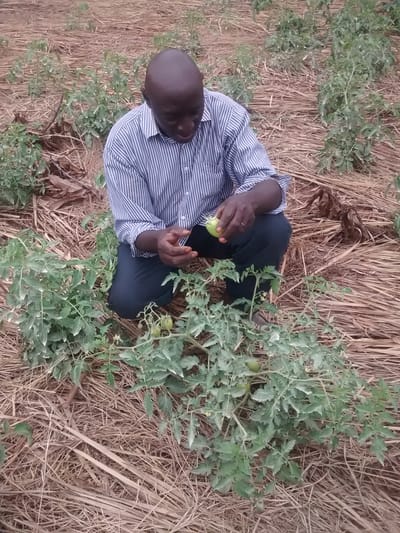 Demonstration Projects image