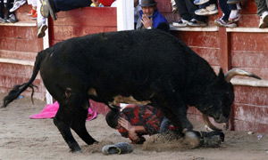 El crucero imperial y el toro de Valonsadero
