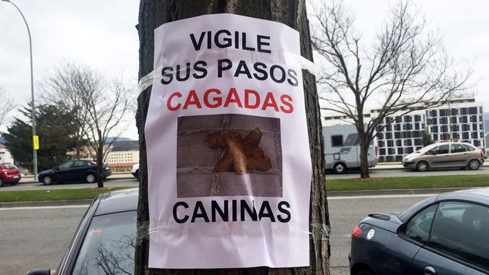 International race on dog shit
