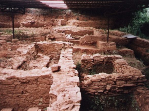 Museo Caldoval
