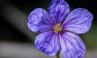 Gruppengespräch image