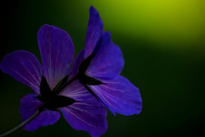 Gruppengespräch image