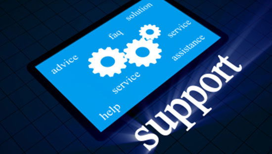 Servicios relacionados con la empresa TI