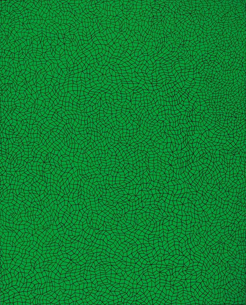 Infinity Nets (8)
