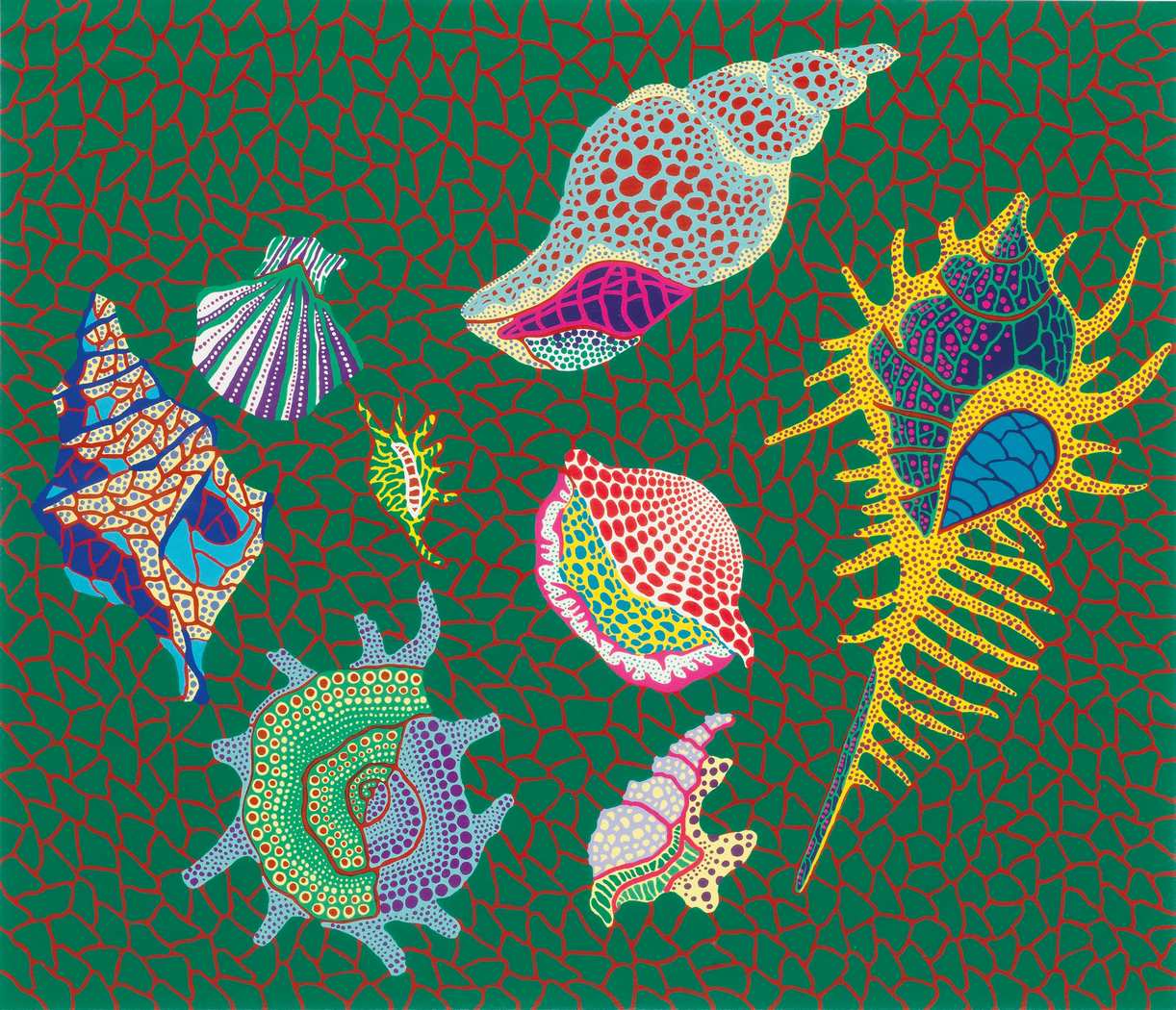 Shell