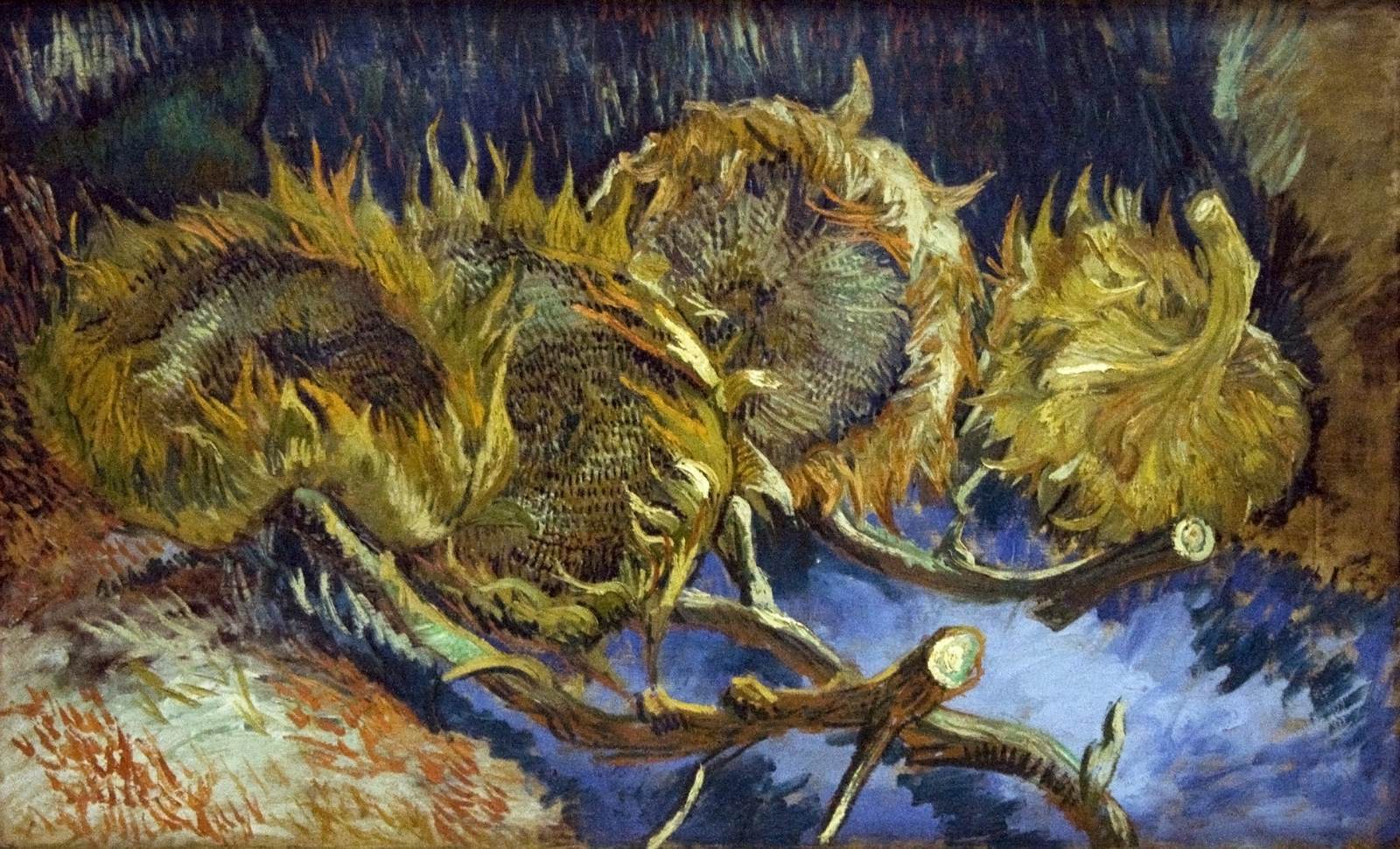 Flower (35) - Four Cut Sunflowers