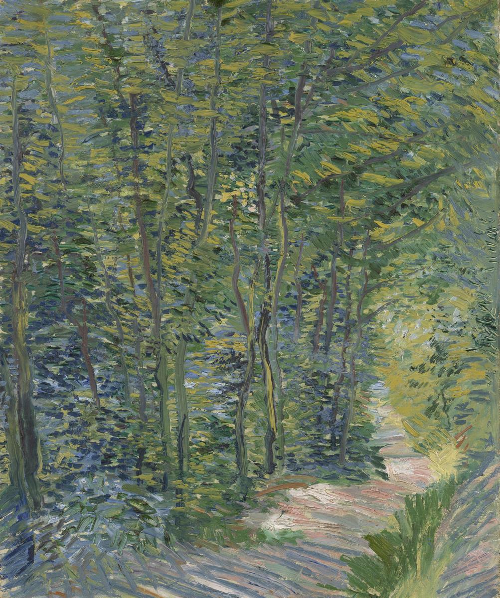 Path in the Woods