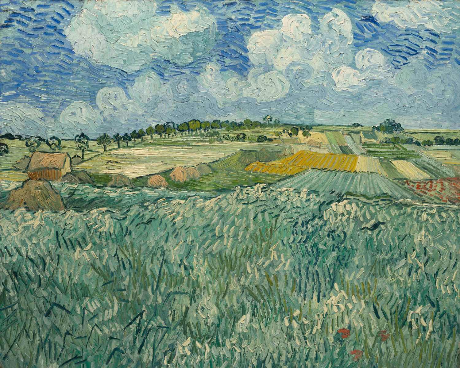 Plain at Auvers with rain clouds