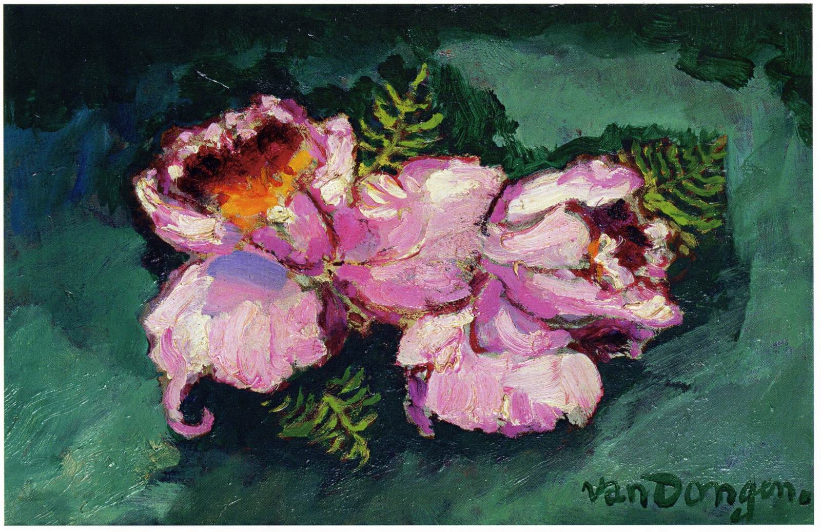 Les Orchidees