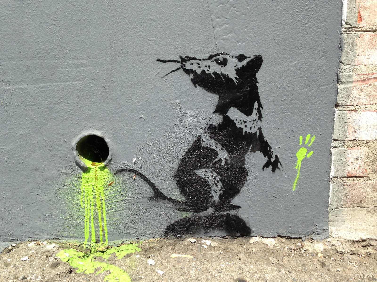 Rat (1)